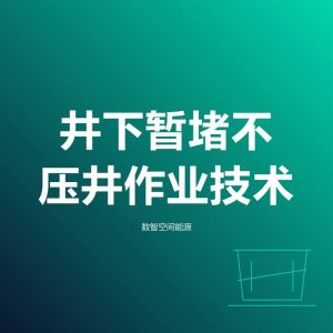 井下暂堵不压井作业技术