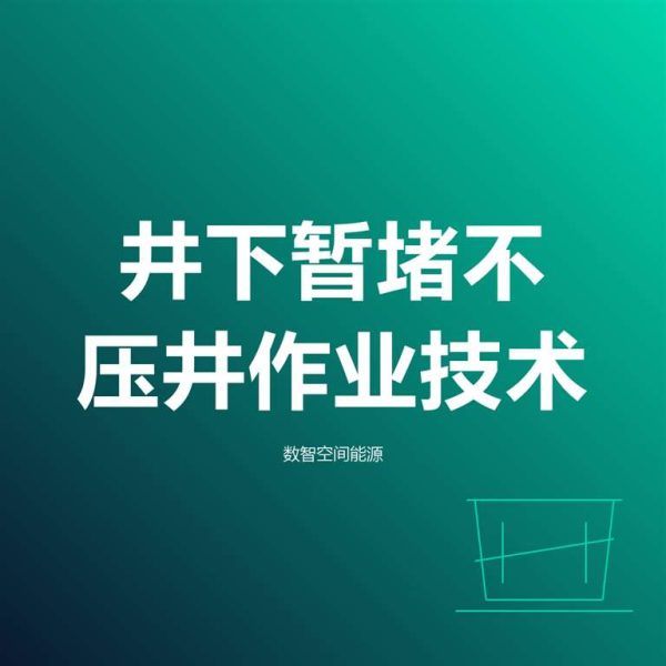 井下暂堵不压井作业技术