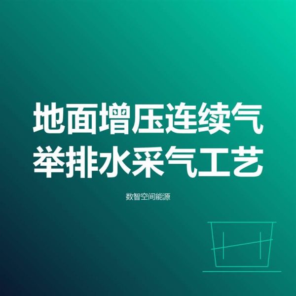 _2809 地面增压连续气举排水采气工艺